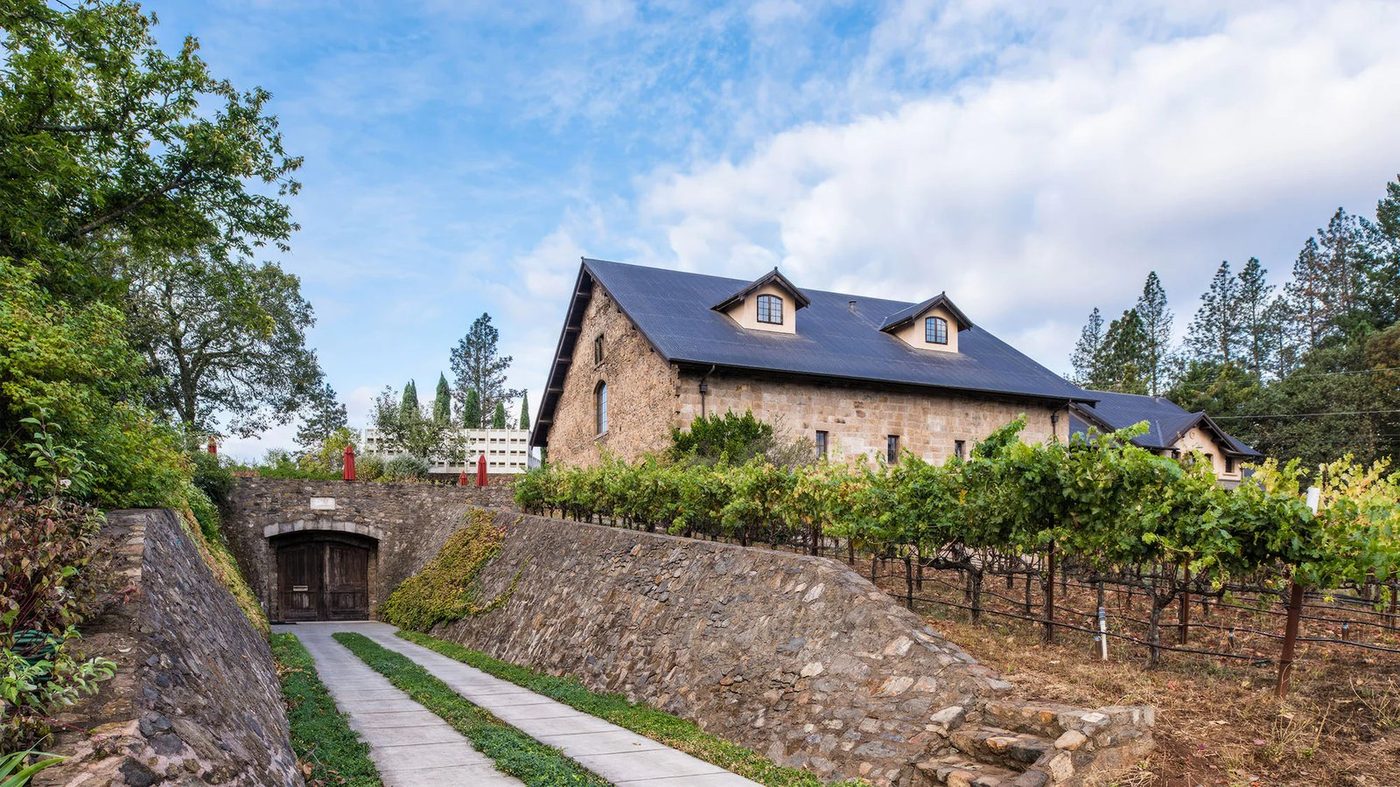 13th Vineyard Harvest Party