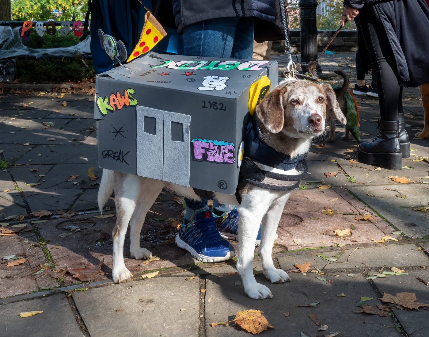Alston Park Dog Parade at Alston Park, south entrance