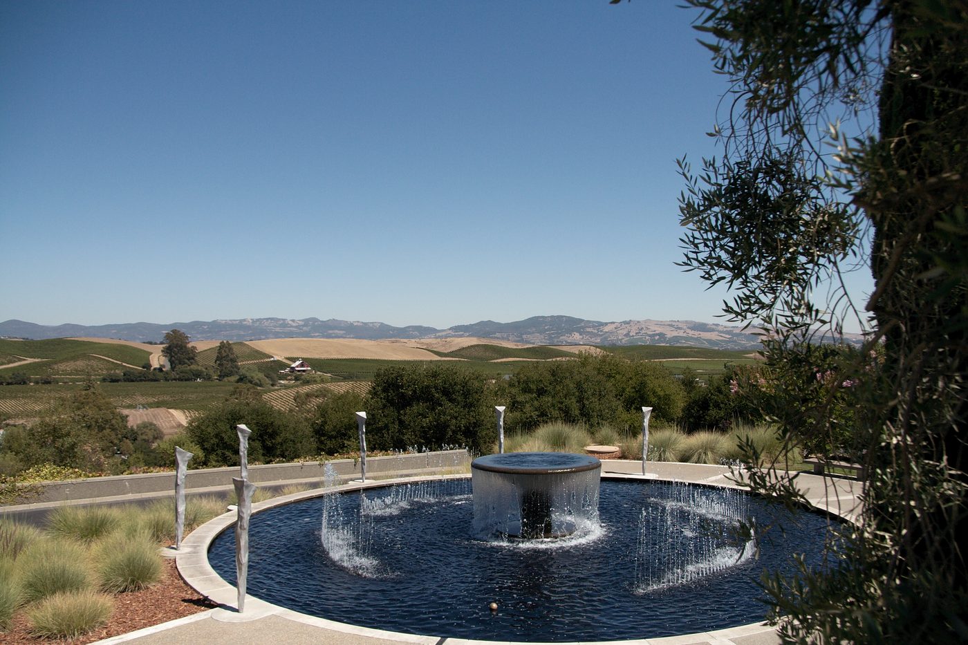 The Artesa Winery estate in Carneros, Napa Valley