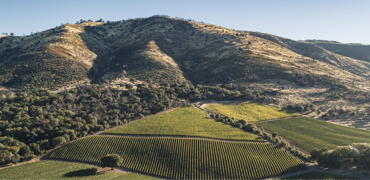 Bottega Cellar Series: Marchesi Antinori at Bottega Napa Valley