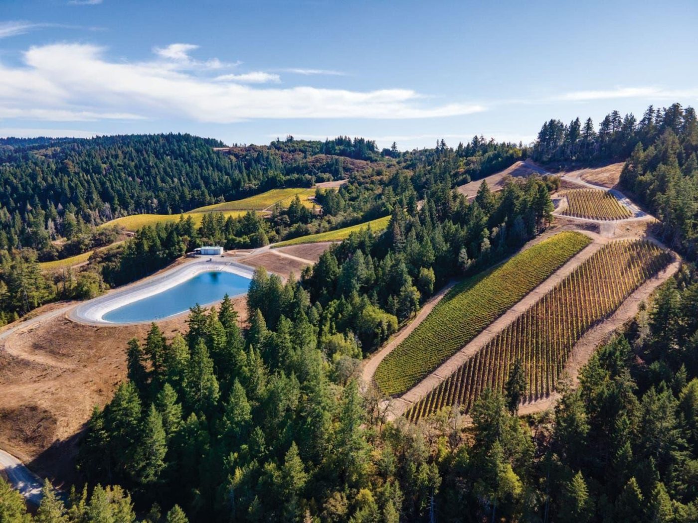 Bottega Cellar Series with Peter Michael Winery at Bottega Napa Valley