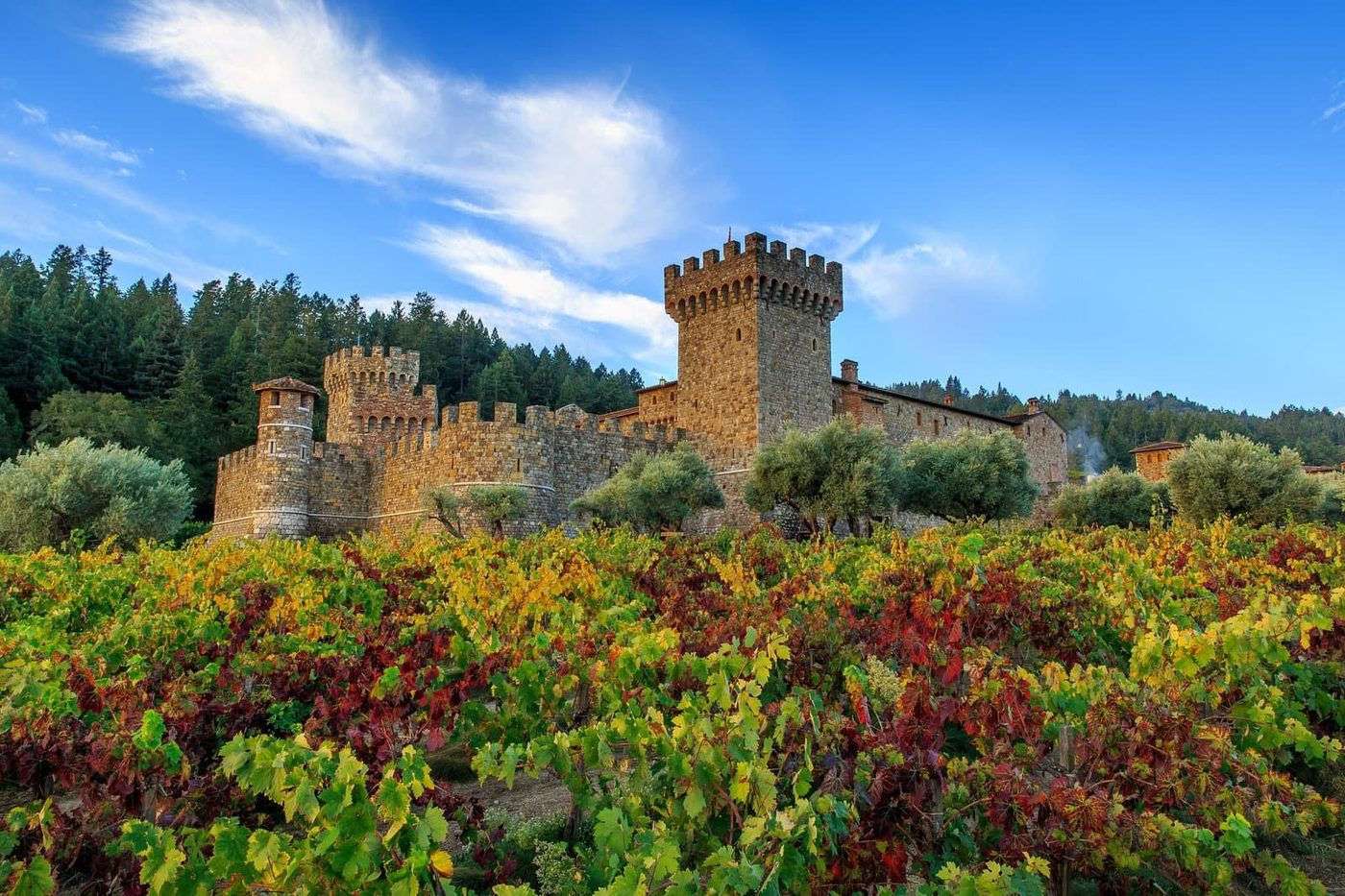 Una Notte al Castello at Castello di Amorosa