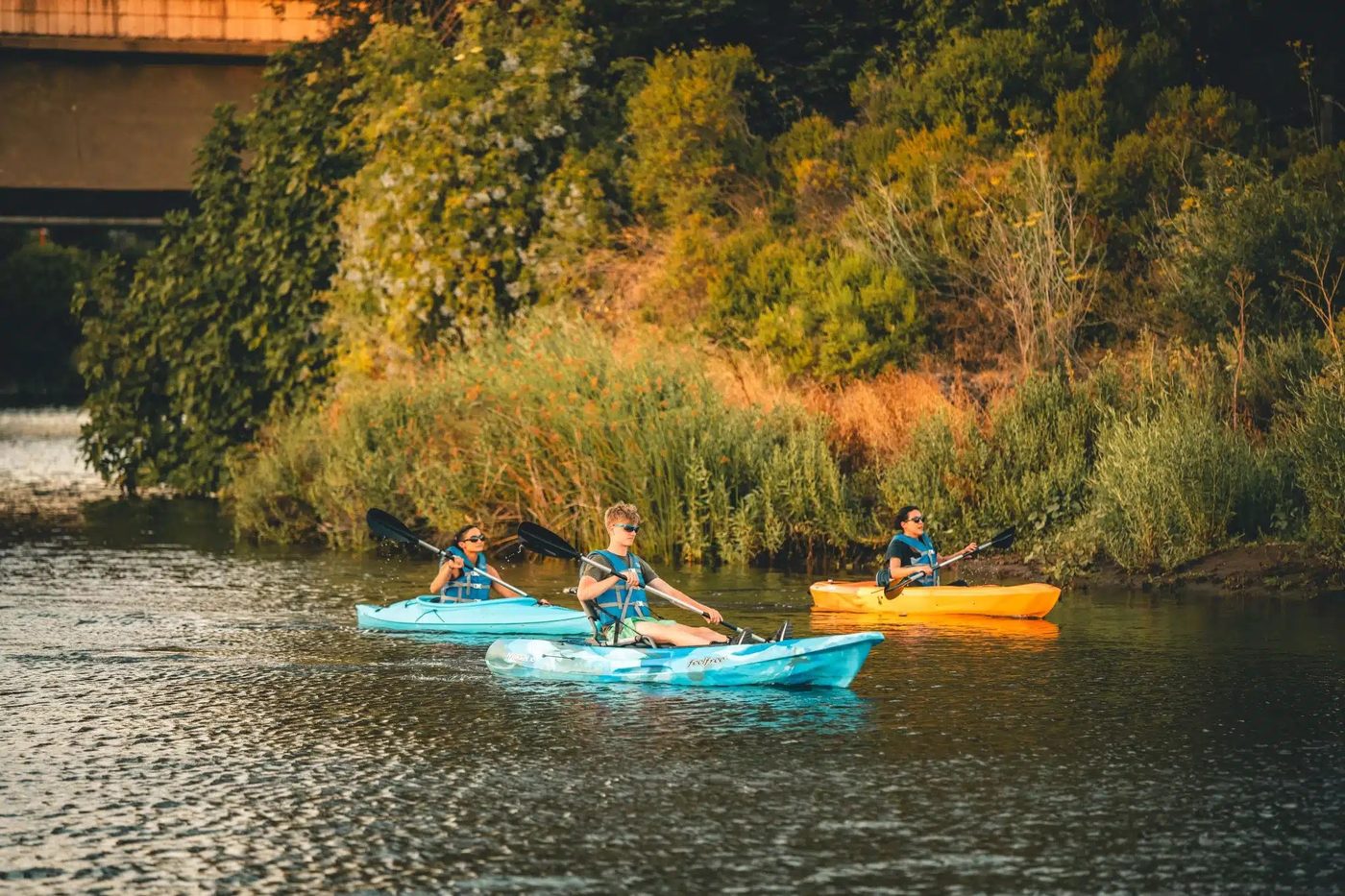 Napa Kayak Sunset Tour, Napa