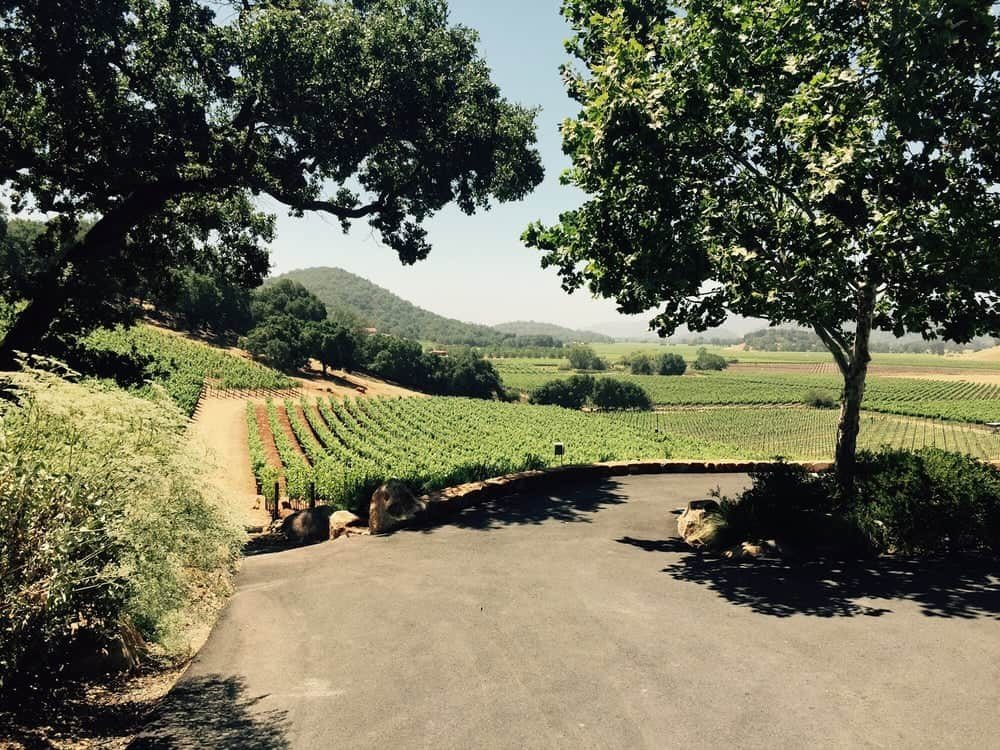 Big Laughs, Big Bottles, Big Time! at Gargiulo Vineyards