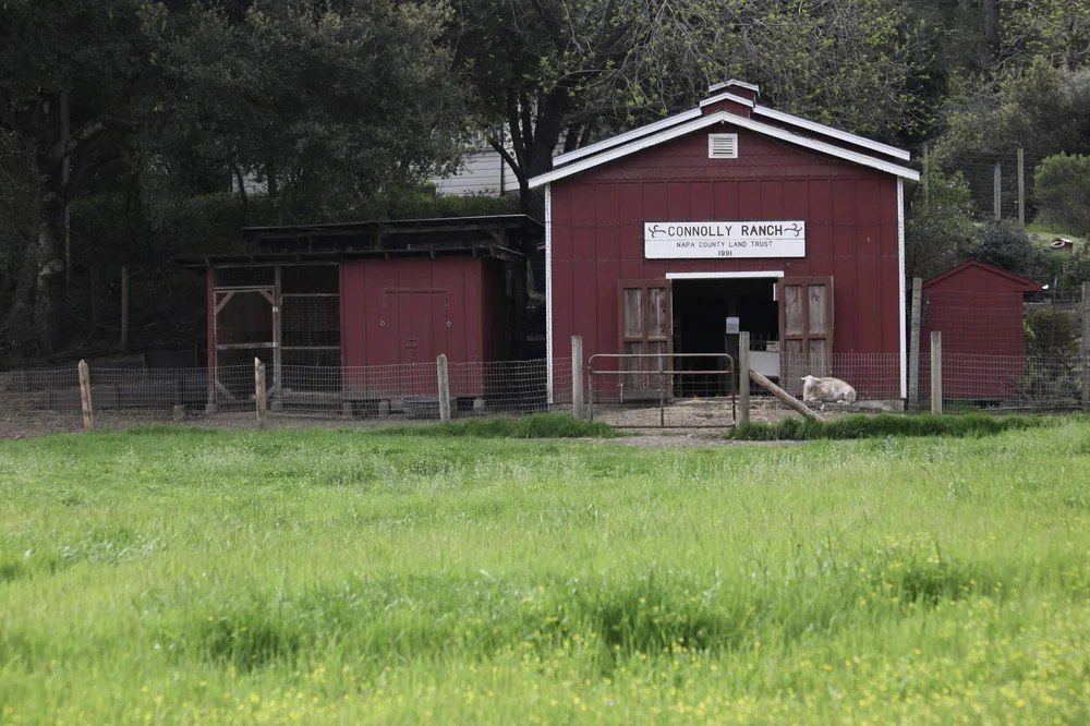 Harvest Festival 10.18 at Connolly Ranch Education Center