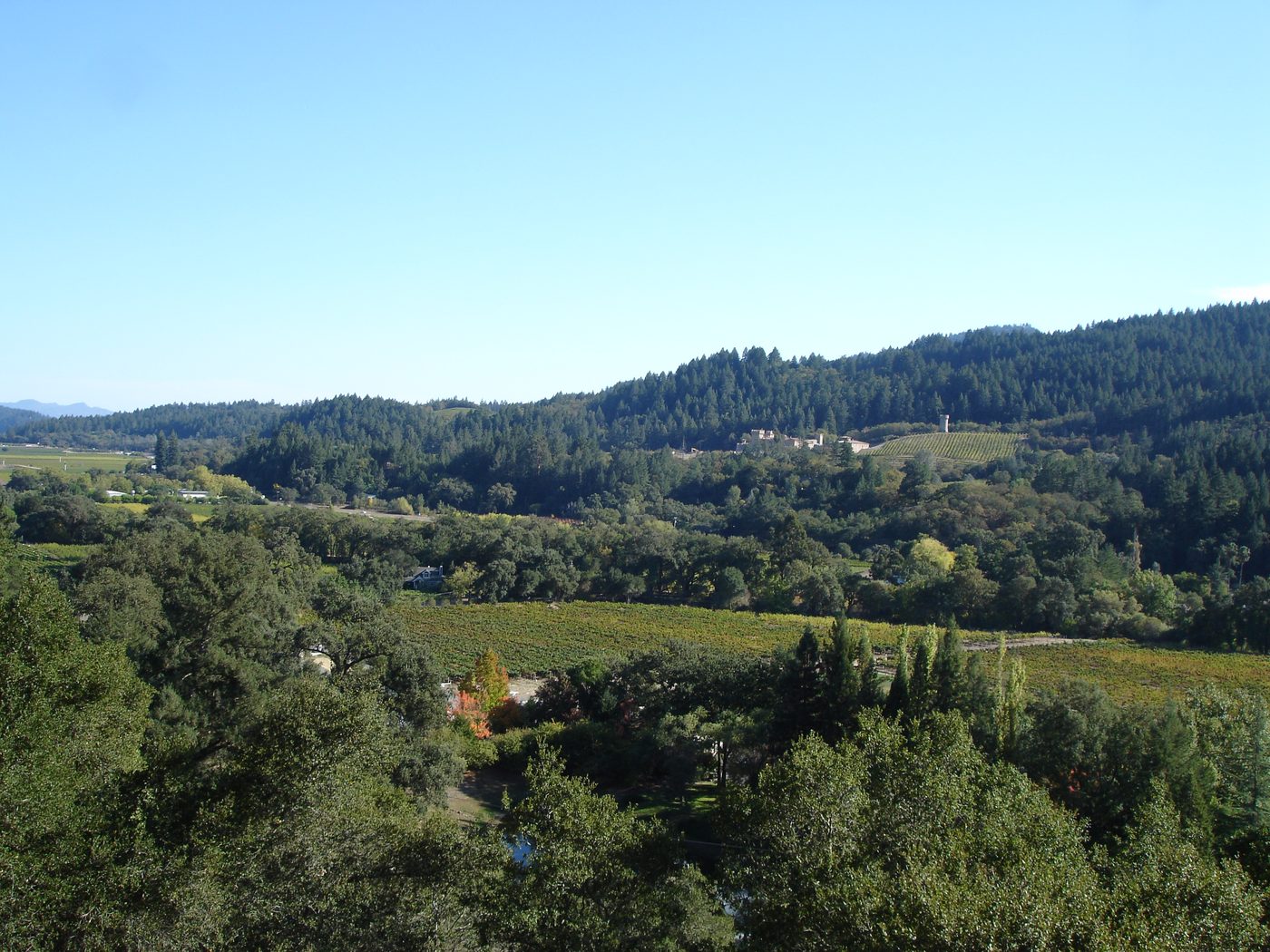 Saturday Evening Collaboration Dinner: Sterling Vineyards x DAOU at Sterling Vineyards