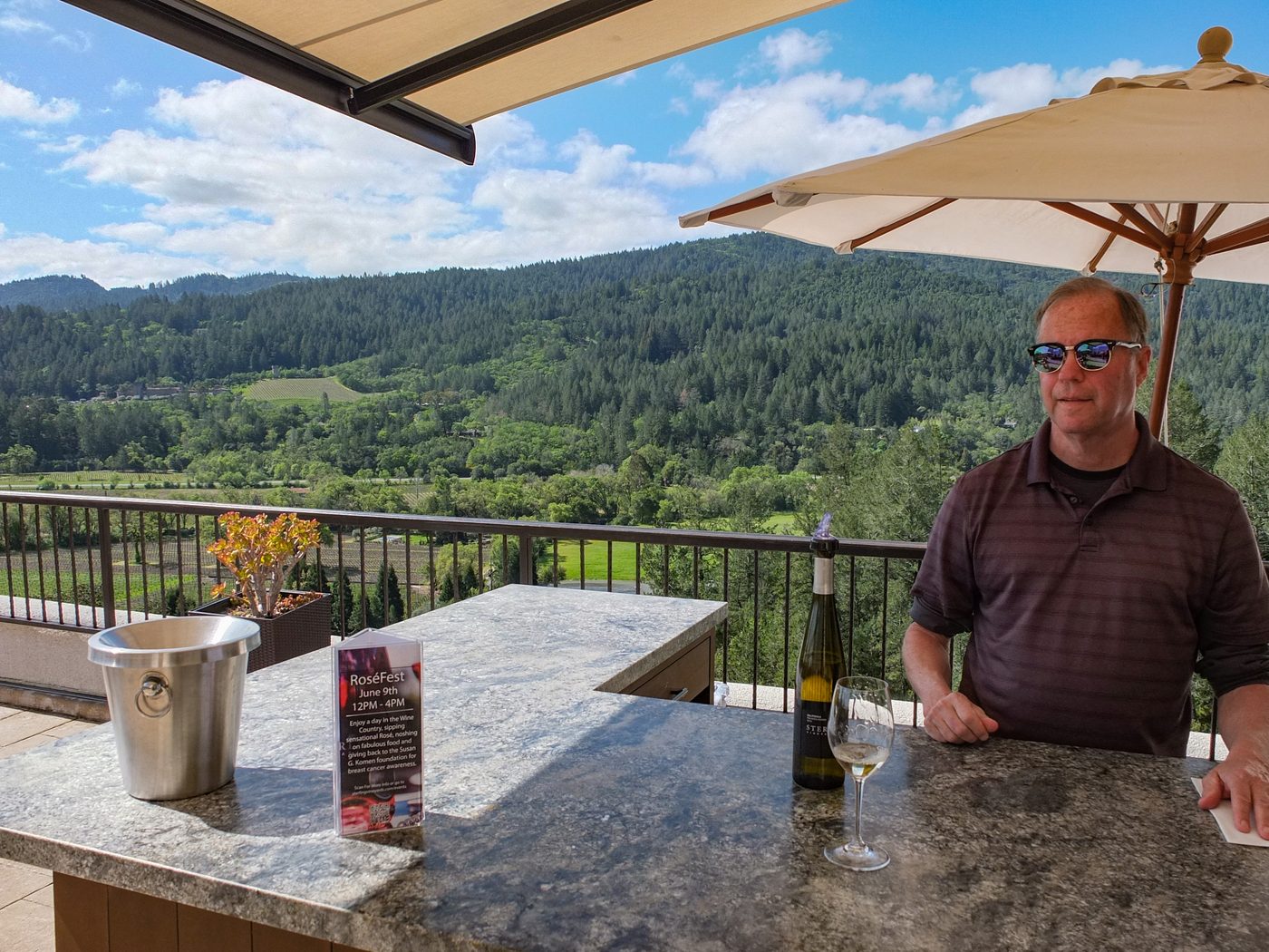 Mountain to Mountain: DAOU Guest Tasting at Sterling Vineyards