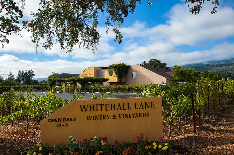Whitehall Lane launches its Merlot Revival tasting
